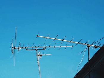 Low angle view of birds flying against clear blue sky