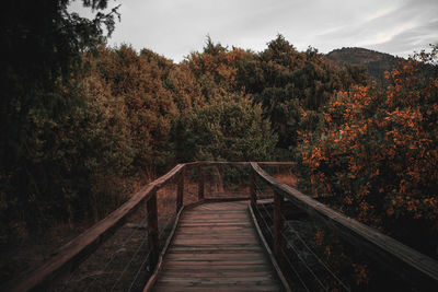 Footbridge amidst trees in forest during autumn