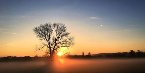 Silhouette tree against sky during sunset