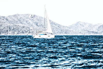 Sailboat sailing on sea against sky