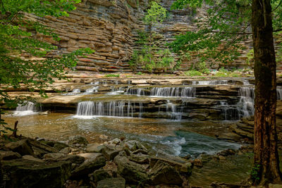 Scenic view of waterfall in forest