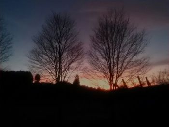 Silhouette of bare trees at sunset