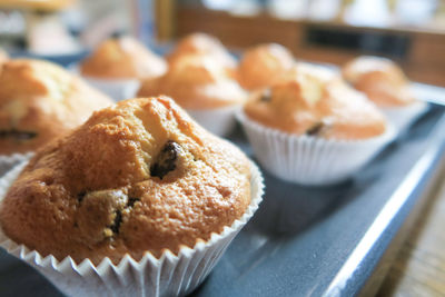 Close-up of cupcakes on table