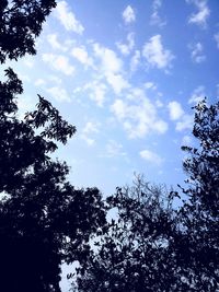 Low angle view of silhouette trees against sky