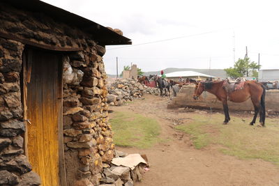 Horses in ranch against sky