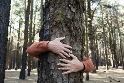 Cropped hand of man standing in forest