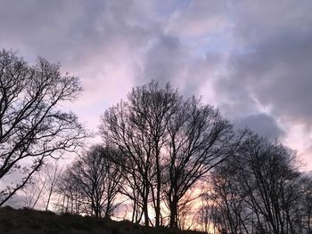 Low angle view of silhouette bare trees against sky at sunset