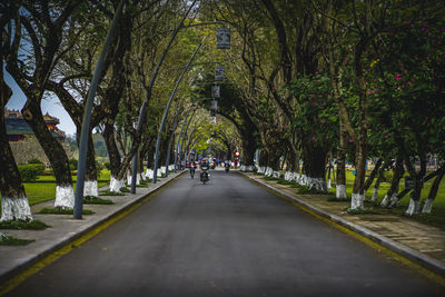 Road amidst trees in city