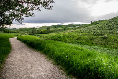 Scenic view of green landscape against sky