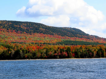 Scenic view of lake by trees against sky