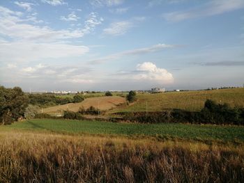 Scenic view of agricultural field against sky