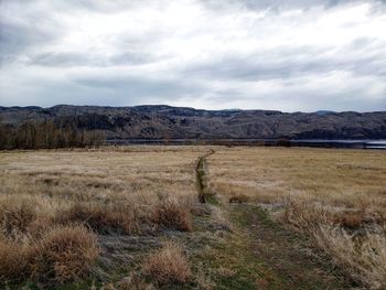 Scenic view of field against sky