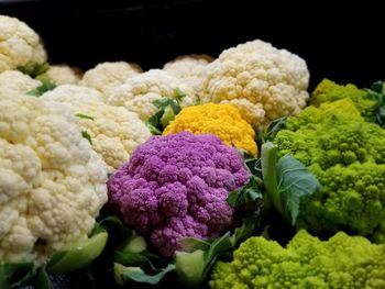 Close-up of vegetables