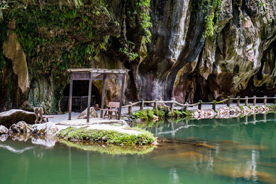 Scenic view of lake in forest