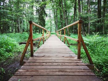 Wooden footbridge along trees in forest
