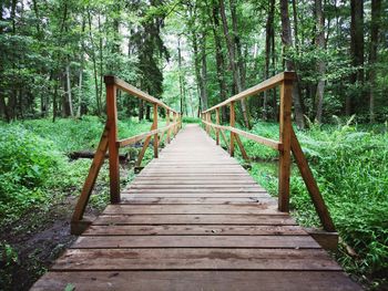 Wooden footbridge amidst trees in forest