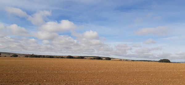 Scenic view of land against sky