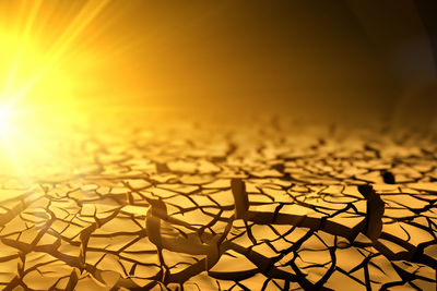 sunlight