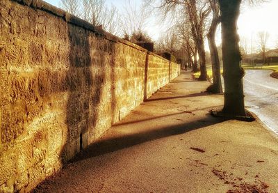 Footpath along trees