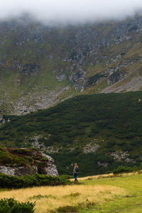 Rear view of man on landscape against mountains