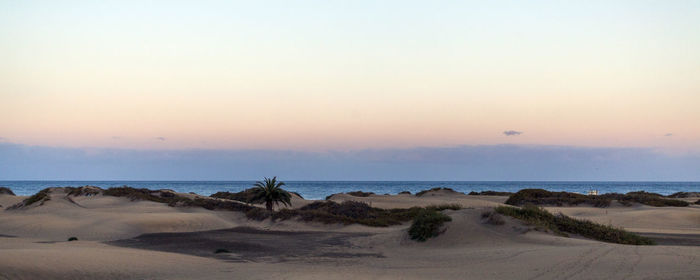 Scenic view of sea at sunset