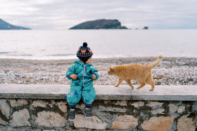 Rear view of man with dog on beach