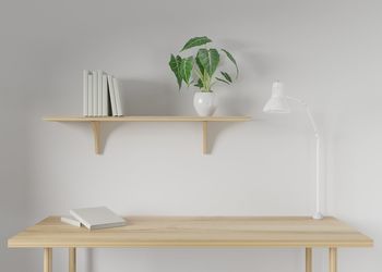 Potted plant on table