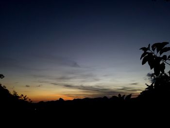 Low angle view of silhouette trees against sky at sunset