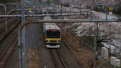 Train at railroad station platform