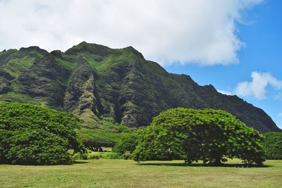 Scenic view of trees and mountains against sky