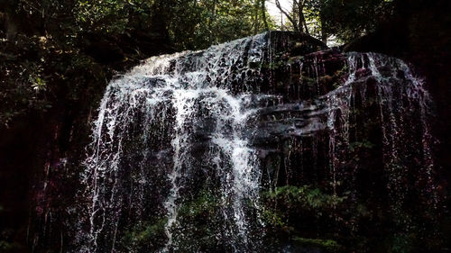 Water splashing in forest