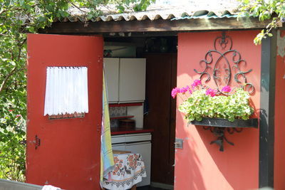 Potted plants on window of building