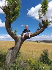 Full length of man on field by tree against sky