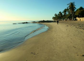 Scenic view of beach against clear sky