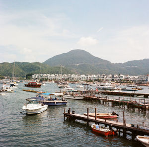 Sailboats moored at harbor against sky