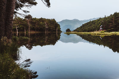 Scenic view of lake by trees against sky