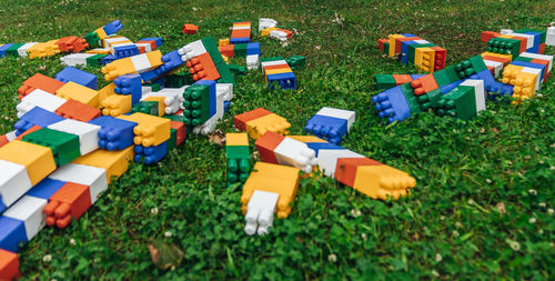 Colorful blocks on the grass