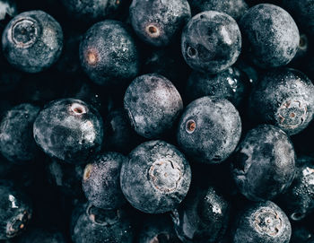 Full frame shot of blueberries