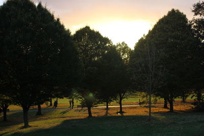 Trees against sky during sunset