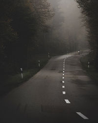 Road amidst trees
