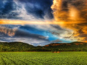 Scenic view of field against sky during sunset