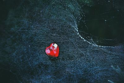 High angle view of red umbrella on rock