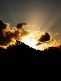 Low angle view of silhouette trees against sky during sunset