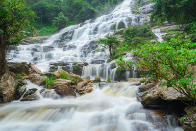 Scenic view of waterfall in forest