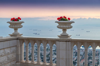 Red flowering plant against railing