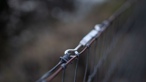 Close-up of the metal fence against the bridge