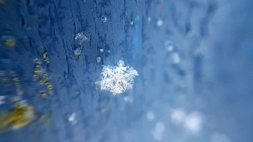 Close-up of frozen water