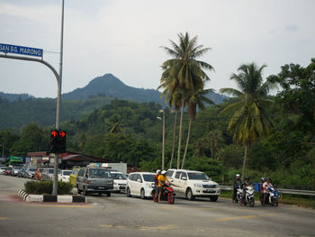 Cars on road by palm trees against sky