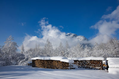 Scenic view of snow covered trees against blue sky