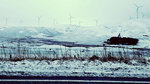 Snow covered trees on snow covered field